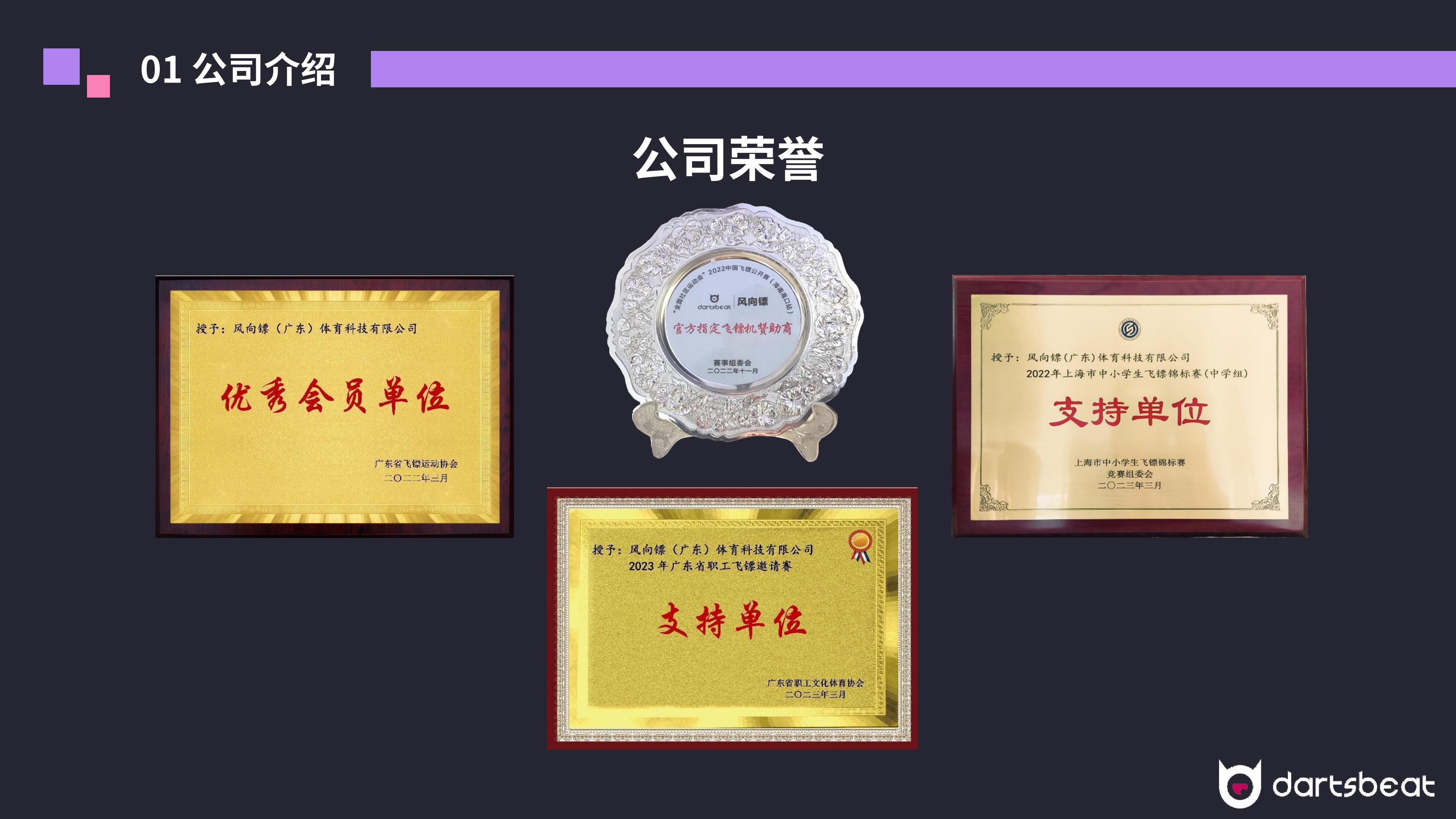 飞镖产品介绍-风向镖v1_04.jpg
